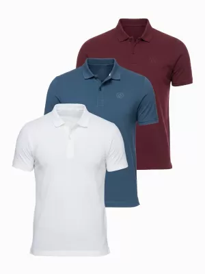 Pánské triko s límečkem OMBRE OM-POBS-0171 WHITE/MAROON/DARK BLUE
