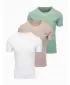 Pánské triko OMBRE OM-TSBS-0268 GREY-GREEN/WHITE/BEIGE